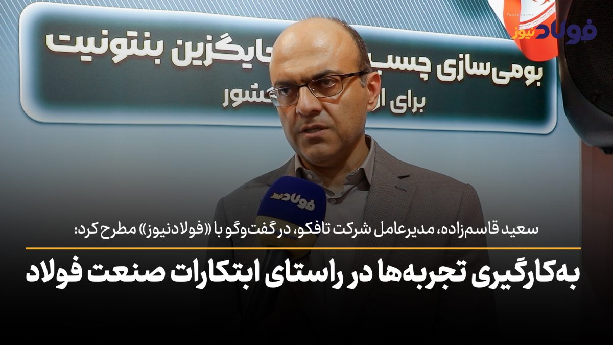 سعید قاسم زاده