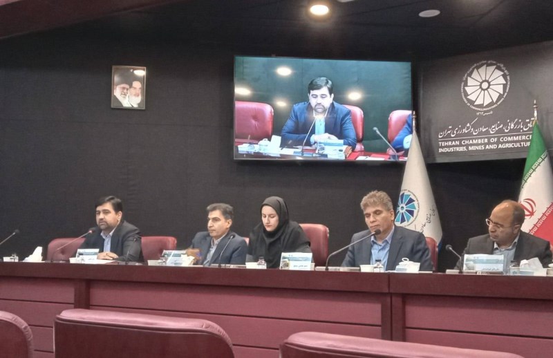 خبر مهم برای سرمایه‌گذاران بخش معدن / بسته‌های اکتشافی در ۴ استان کشور عرضه می‌شوند