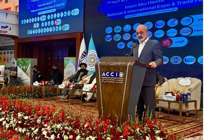 نایب‌رئیس اتاق ایران تاکید کرد: ضرورت تبدیل همسایگی به مشارکت اقتصادی در روابط بین ایران و افغانستان‌