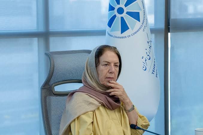 نایب‌رئیس اتاق بازرگانی تهران : تغییرات ناگهانی مقررات، سرمایه‌گذاری معدنی را تهدید می‌کند / دولت باید ریسک سرمایه‌گذاری معدنی را کاهش دهد